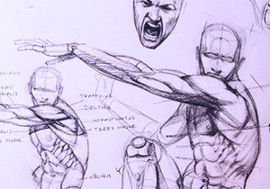 Focus on Anatomy